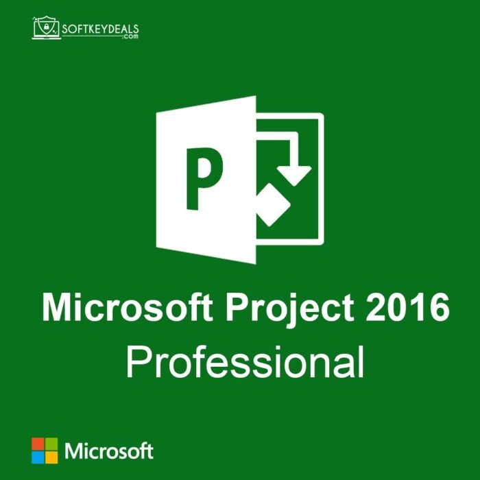 Microsoft Project 2016 Professional