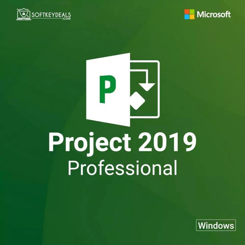 Microsoft Project Professional 2019 For Windows PC