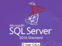 Microsoft SQL Server 2016 Standard 5 User CALs