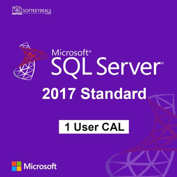 Microsoft SQL Server 2017 Standard – 1 User Client Access License