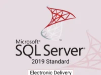 Microsoft SQL Server 2019 Standard – CSP advanced security