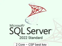 Microsoft SQL Server 2022 Standard 2 Core – CSP best key