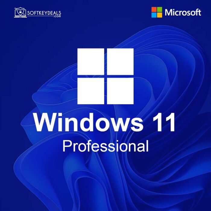 Windows 11 Professional CD Key (Digital Download)