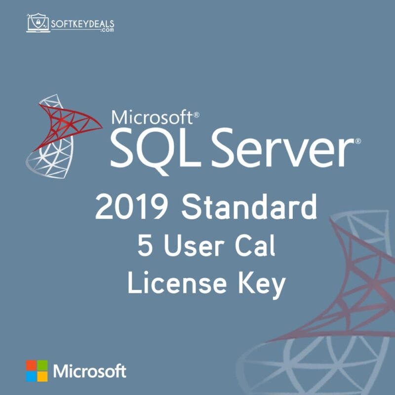 Microsoft SQL Server 2019 Standard + 5 User CAL License