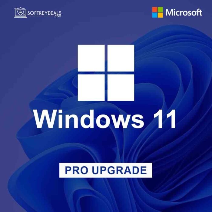 Windows 11 Pro Upgrade from Windows 11 Home 1